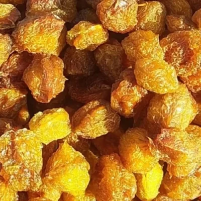آلو بخارا قائنات