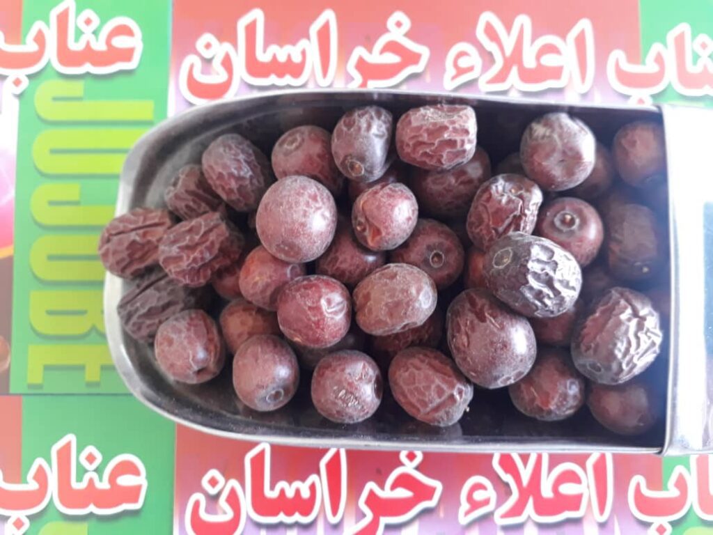 عناب دارویی قائنات