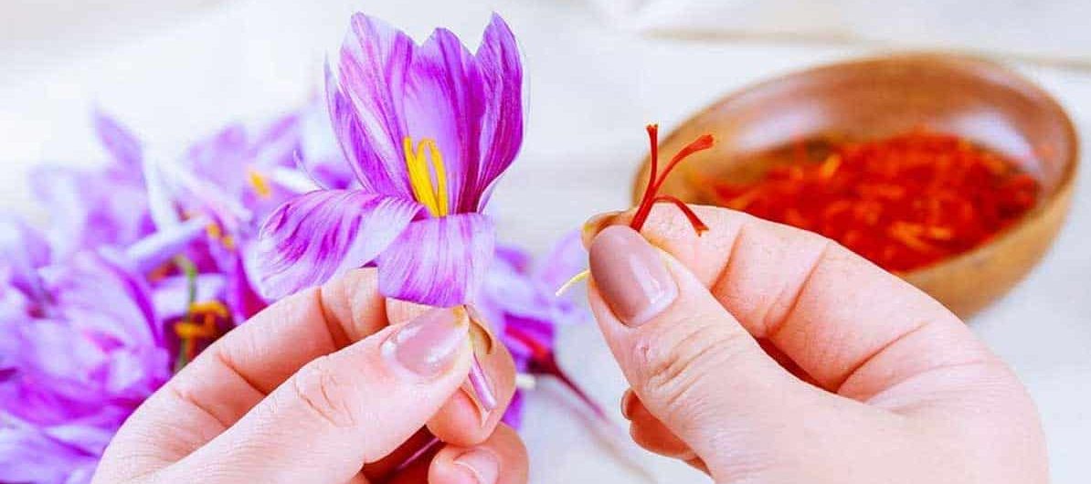 قیمت گلبرگ زعفران به صورت کیلویی