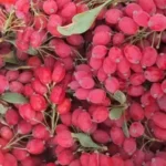 خواص زرشک